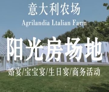 意大利农场婚事