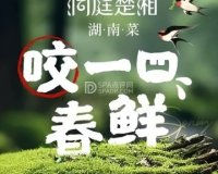 洞庭楚湘（闹市口店）