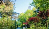 广阳谷城市森林公园