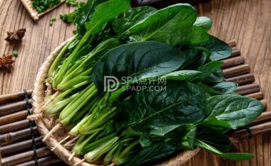 春日养生正当时—科学食疗助力健康过春季