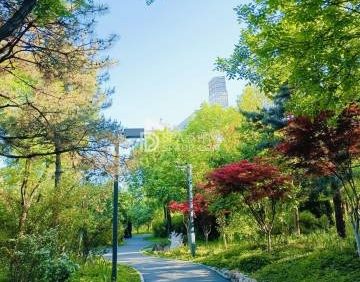 广阳谷城市森林公园