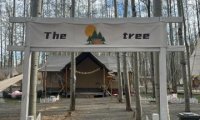 The tree营地