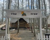 The tree营地