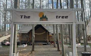 The tree营地