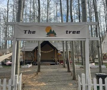 The tree营地