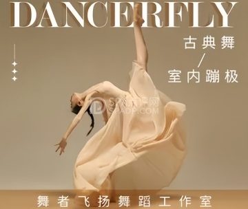 DANCERFLY·舞者飞扬