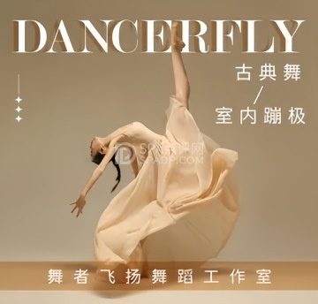 DANCERFLY·舞者飞扬