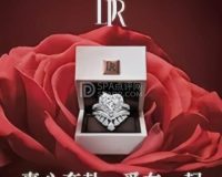 DR钻戒（丰科万达广场店）
