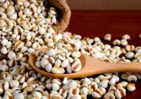 北京高端养生网分享｜痰湿体质不盲目进补，家常食材轻松祛湿化痰