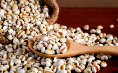 北京高端养生网分享｜痰湿体质不盲目进补，家常食材轻松祛湿化痰