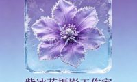 紫冰花摄影工作室