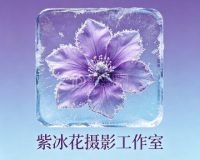 紫冰花摄影工作室