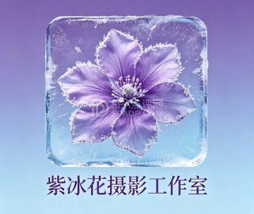 紫冰花摄影工作室