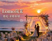Lomo岚茉婚礼·求婚策划